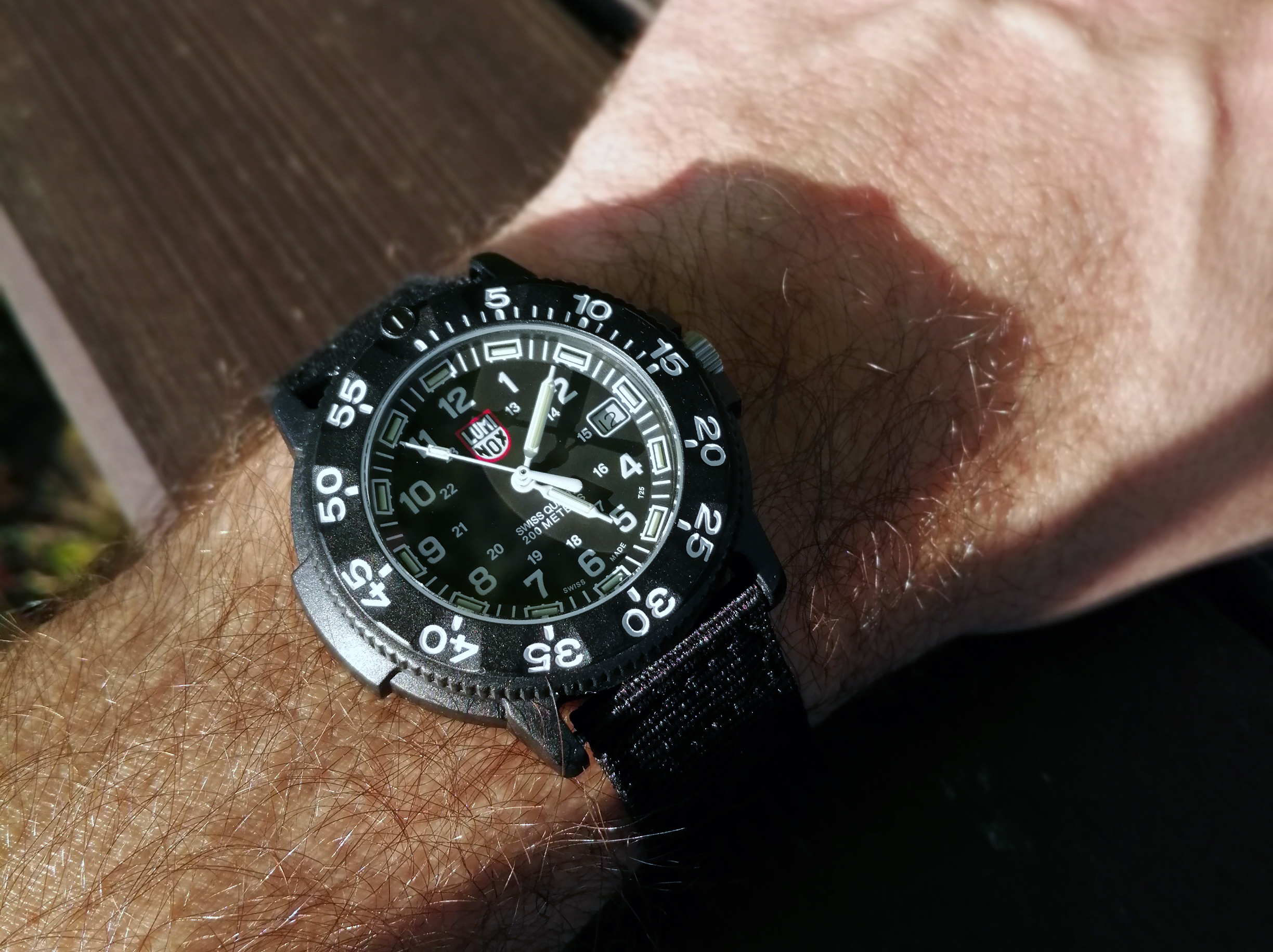 luminox men's 3001